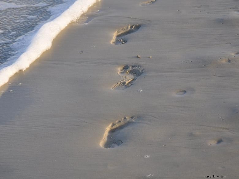 Days Inn & Suites by Wyndham – Relaxing Getaway on Jekyll Island