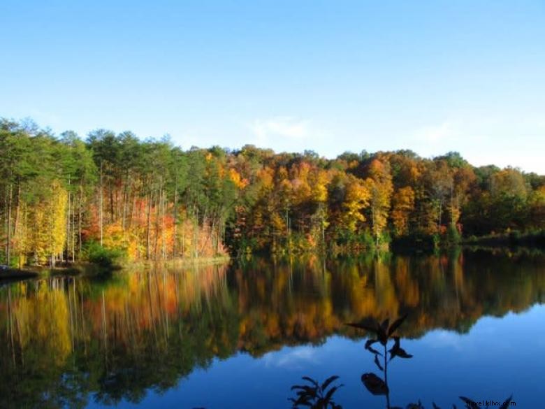 Morning Breeze Cabins: Relaxing Getaway with Hot Tub & Scenic River Views