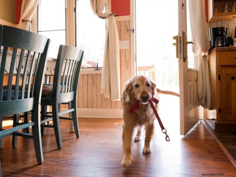 Discover Lakehouses at Legacy: Luxury Living by Lake Lanier