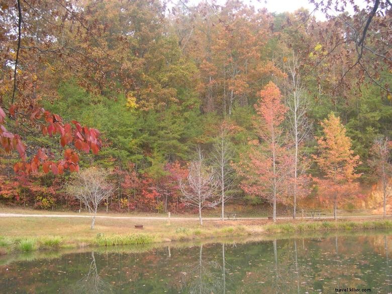 Explore Jenny s Creek Campground: Tranquil Nature & Scenic Fishing