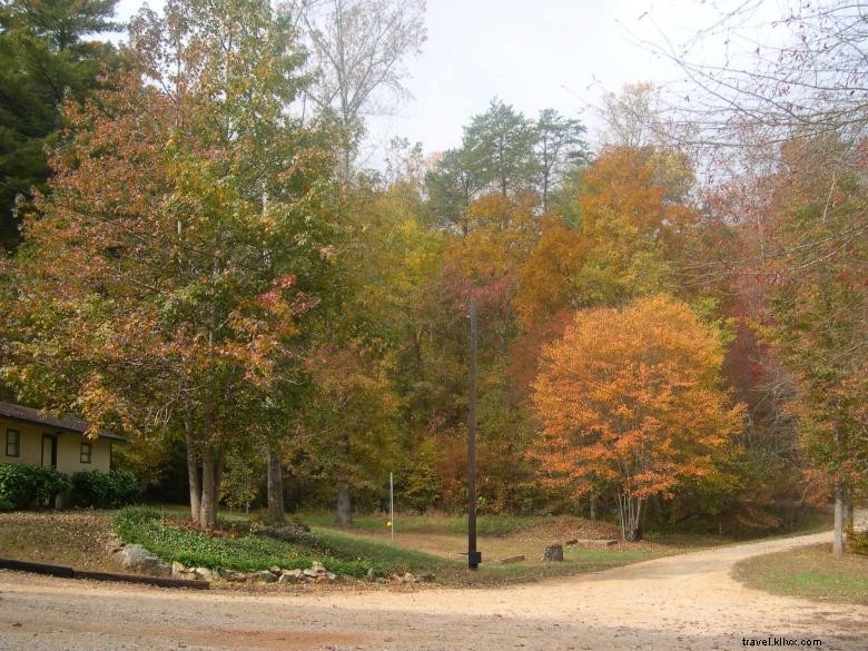 Explore Jenny s Creek Campground: Tranquil Nature & Scenic Fishing