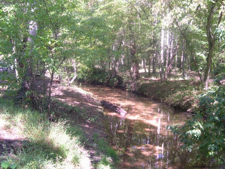 Explore Jenny s Creek Campground: Tranquil Nature & Scenic Fishing