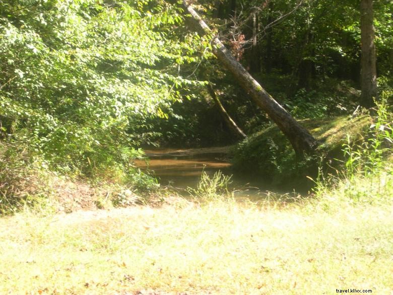 Explore Jenny s Creek Campground: Tranquil Nature & Scenic Fishing