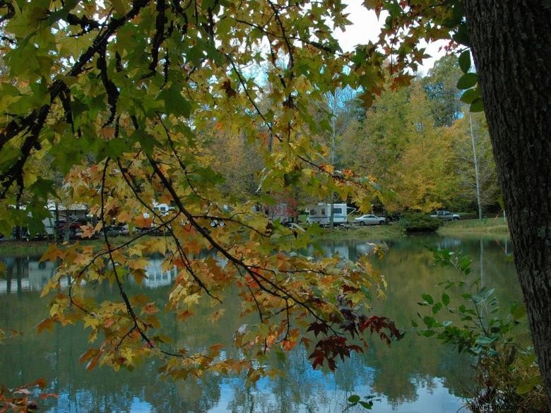 Explore Jenny s Creek Campground: Tranquil Nature & Scenic Fishing