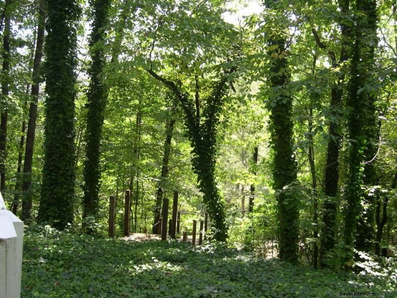 Explore Jenny s Creek Campground: Tranquil Nature & Scenic Fishing