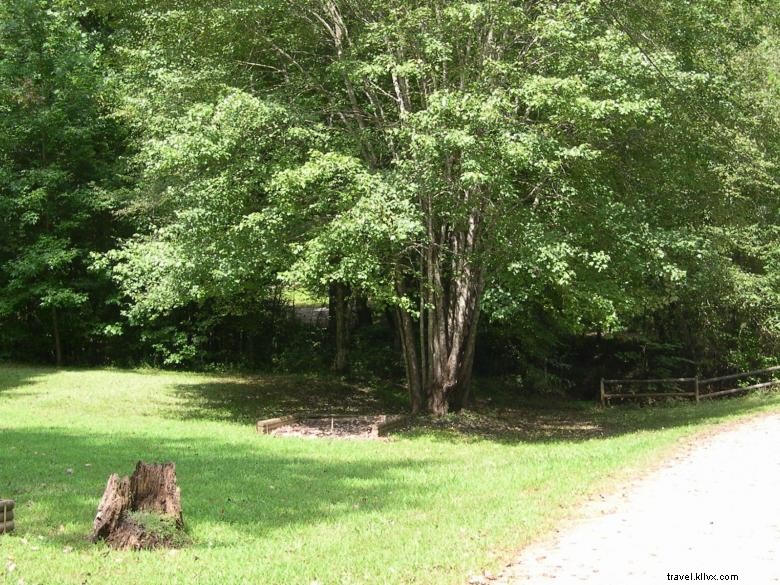 Explore Jenny s Creek Campground: Tranquil Nature & Scenic Fishing