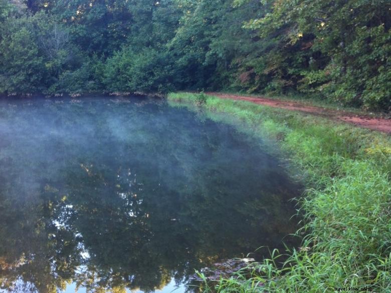 Explore Jenny s Creek Campground: Tranquil Nature & Scenic Fishing