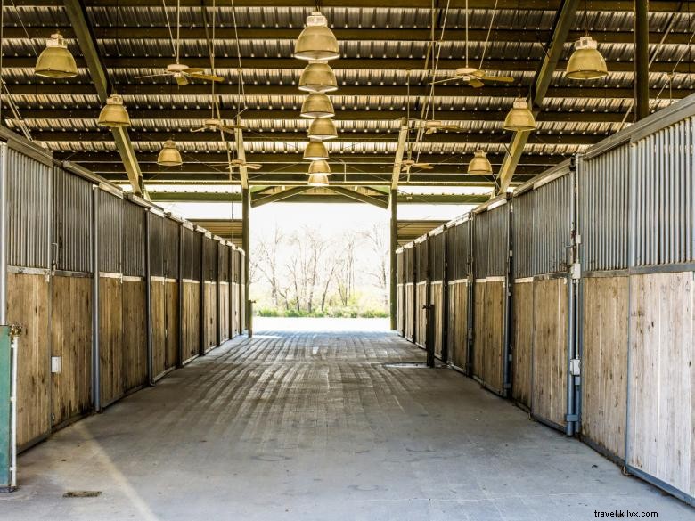 Georgia International Horse Park: Premier Equestrian Venue