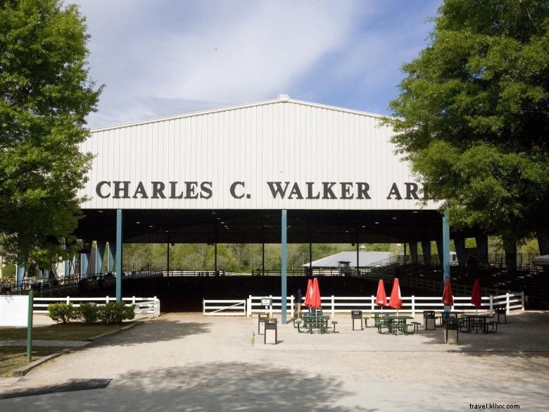Georgia International Horse Park: Premier Equestrian Venue