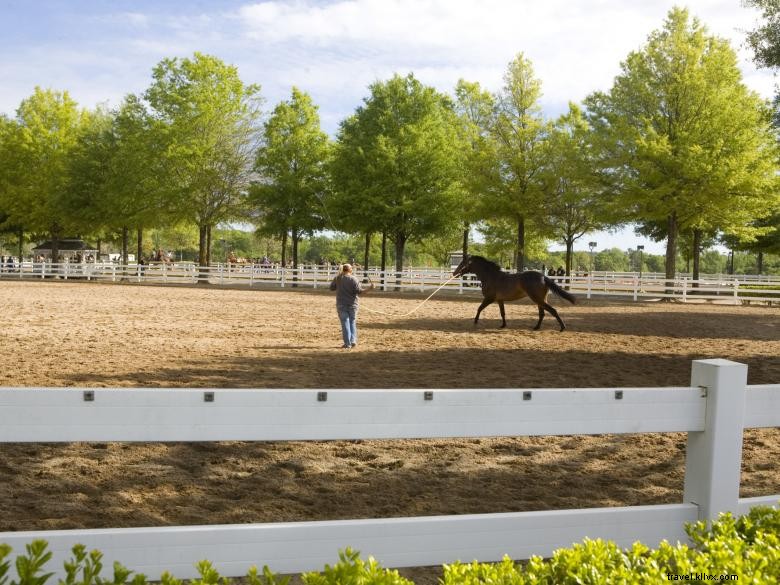 Georgia International Horse Park: Premier Equestrian Venue