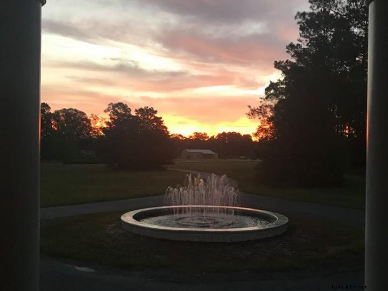 Explore the Hatchery: Premier Fishery & Lodging Experience