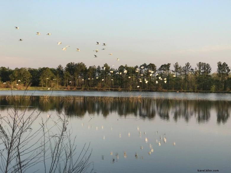 Explore the Hatchery: Premier Fishery & Lodging Experience