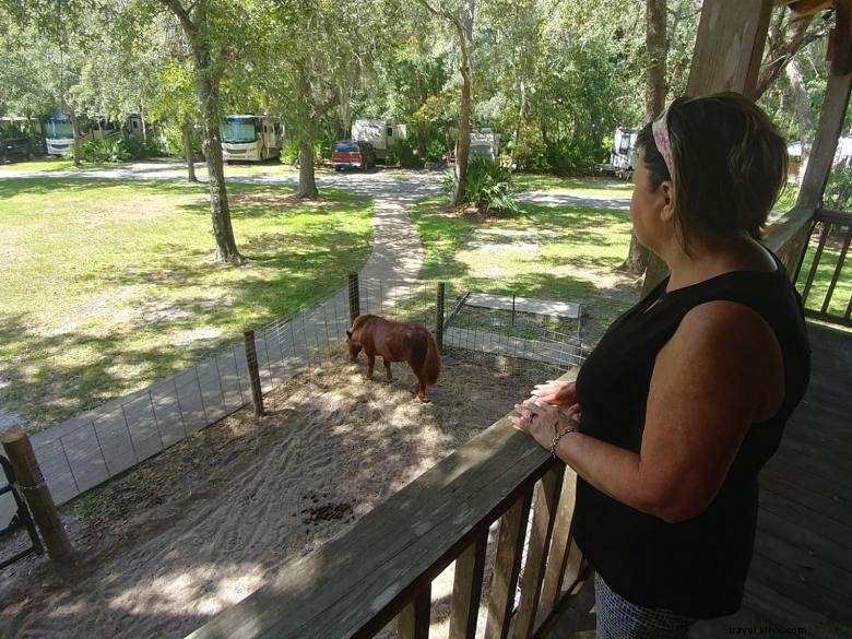 Country Oaks RV Park & Campground – Your Ideal Outdoor Getaway