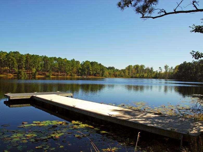 Explore Jack Hill State Park: Scenic Trails, Historic Sites, and Recreational Activities