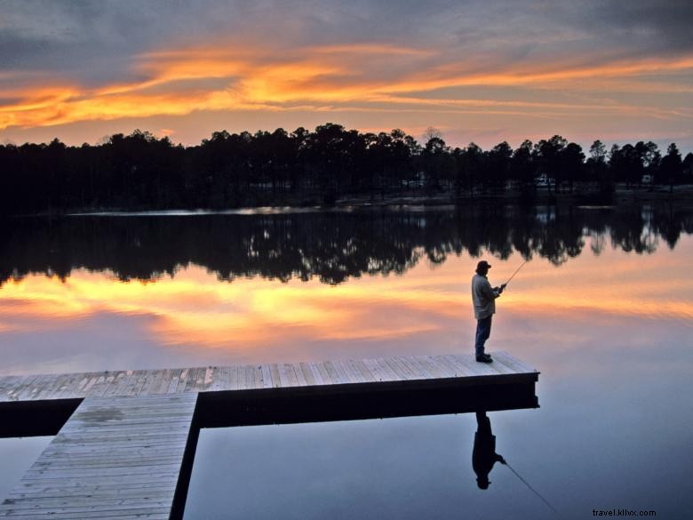 Explore Jack Hill State Park: Scenic Trails, Historic Sites, and Recreational Activities