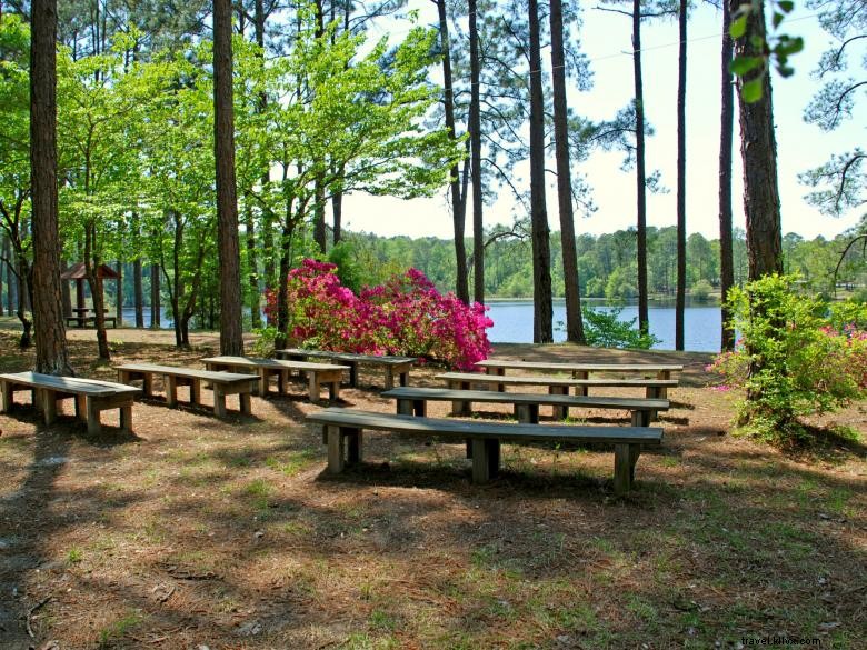 Explore Jack Hill State Park: Scenic Trails, Historic Sites, and Recreational Activities