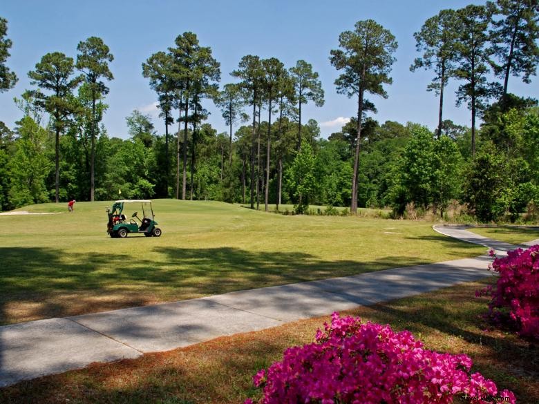 Explore Jack Hill State Park: Scenic Trails, Historic Sites, and Recreational Activities