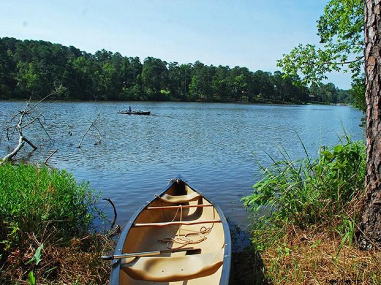 Explore High Falls State Park: Scenic Views, Hiking, and Wildlife