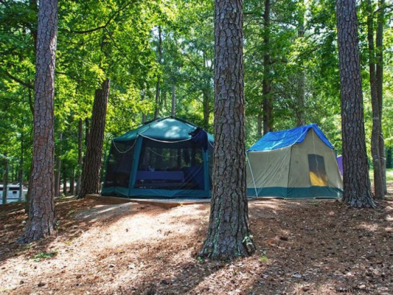 Explore High Falls State Park: Scenic Views, Hiking, and Wildlife