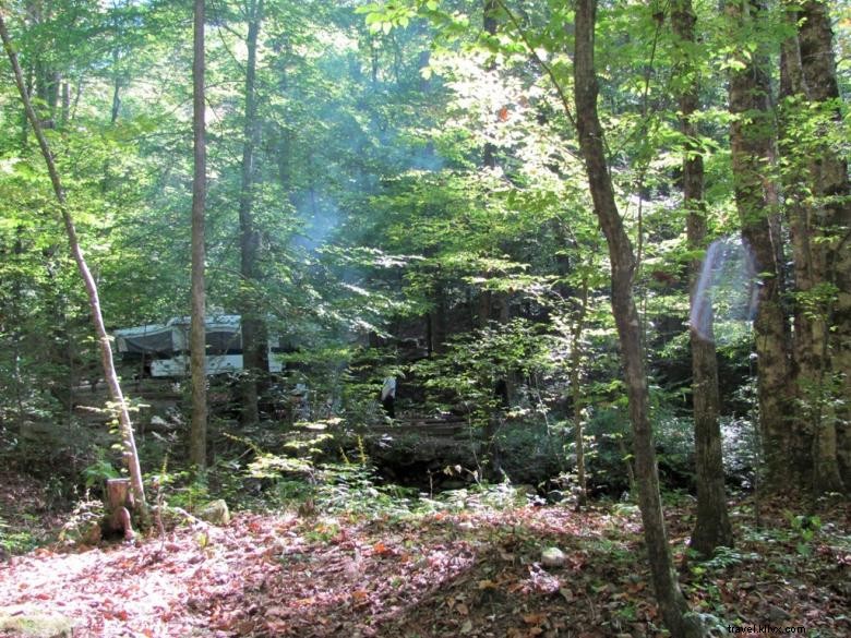 Andrews Cove Campground: Scenic Retreat in Northeast Georgia s Mountain Wilderness