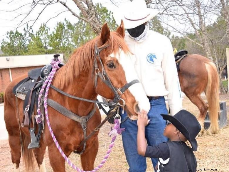 SooFa Ranch: Premium Farm & Ranch Bed & Breakfast Experience