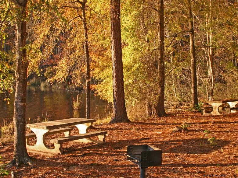 Hamburg State Park – Premier Outdoor Recreation & Camping Destination