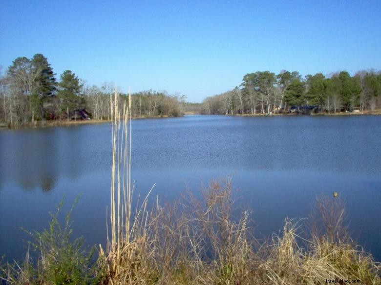 Dominecker Inn: Elegant Bed & Breakfast in Scenic Southwest Georgia