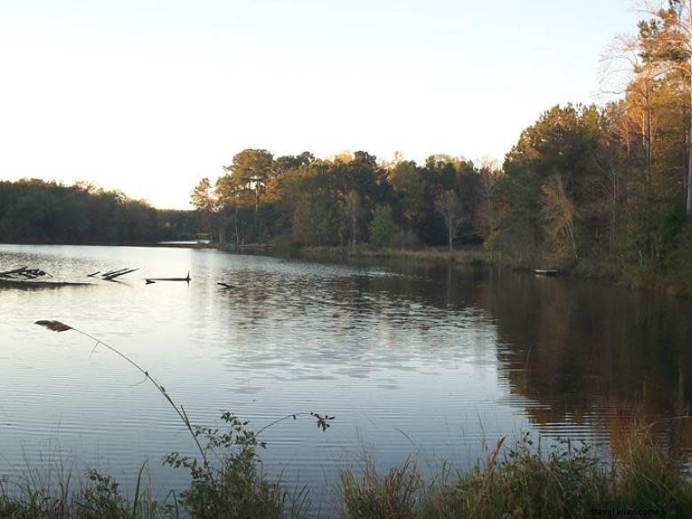 Dominecker Inn: Elegant Bed & Breakfast in Scenic Southwest Georgia