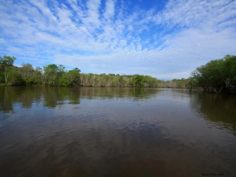 Altamaha Regional Park – Scenic Riverside Recreation in Glynn County