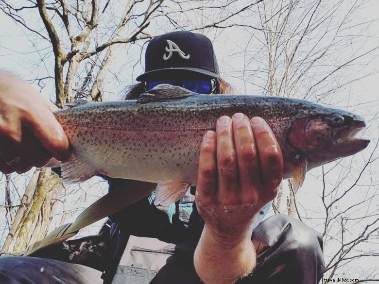 Discover Hatch Camp & Art Farm: A Creative Retreat for Artists and Outdoor Enthusiasts