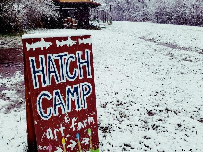Discover Hatch Camp & Art Farm: A Creative Retreat for Artists and Outdoor Enthusiasts