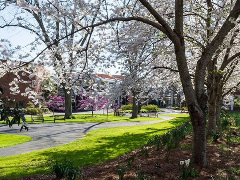 UGA Continuing Education Center & Hotel: Comprehensive Learning & Hospitality Services