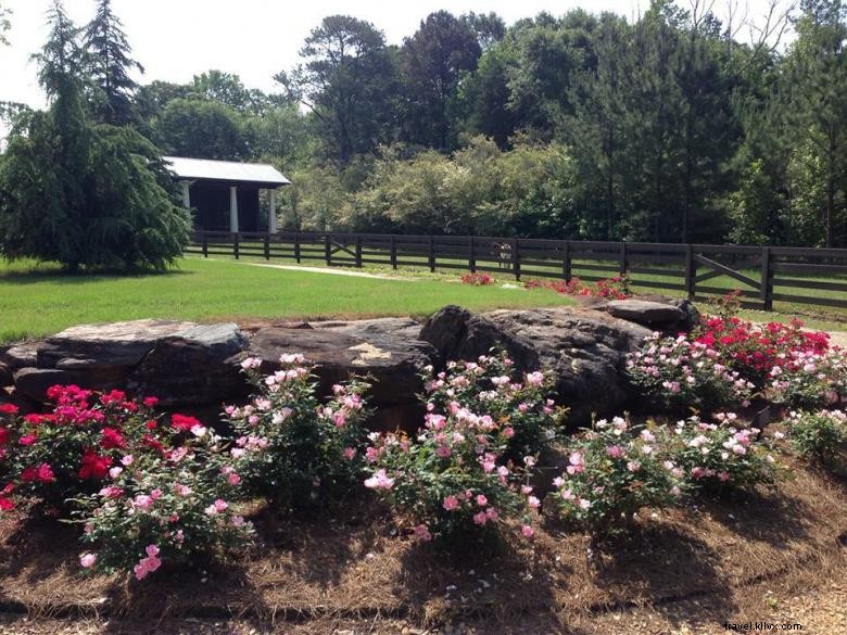 Explore Bogle Farms: Scenic Trails & Ideal Retreat Venue
