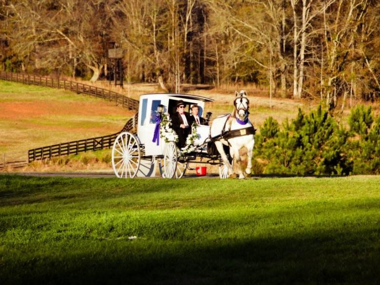 Explore Bogle Farms: Scenic Trails & Ideal Retreat Venue