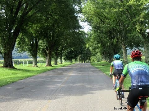 Mountain Cove Farms Resort – Premium Cabin Getaways