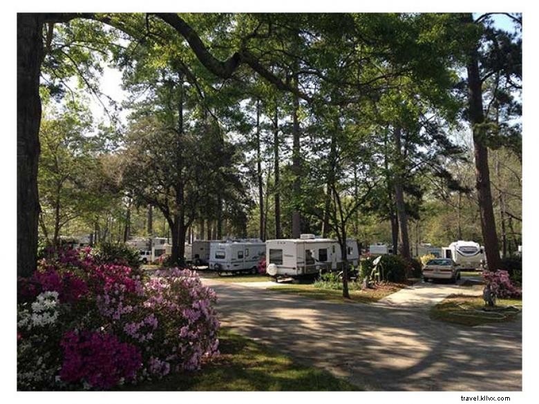 River Park RV Park – 57 Full Hook‑Up Spots with Free Wi‑Fi & TV in Valdosta, GA