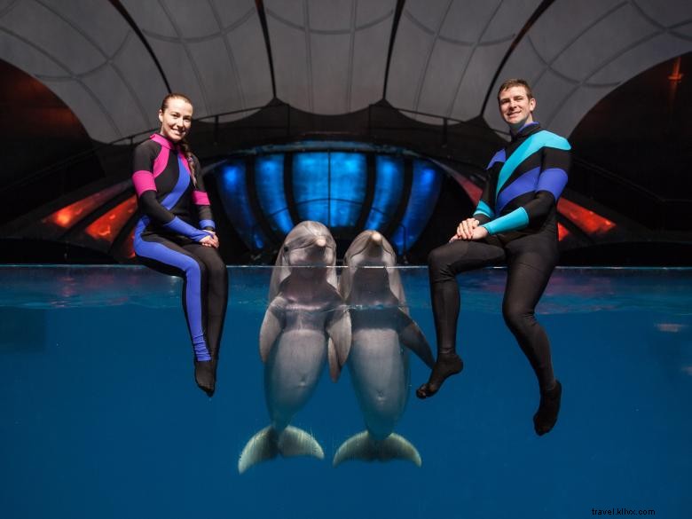Exclusive Hilton & Georgia Aquarium Packages in Downtown Atlanta
