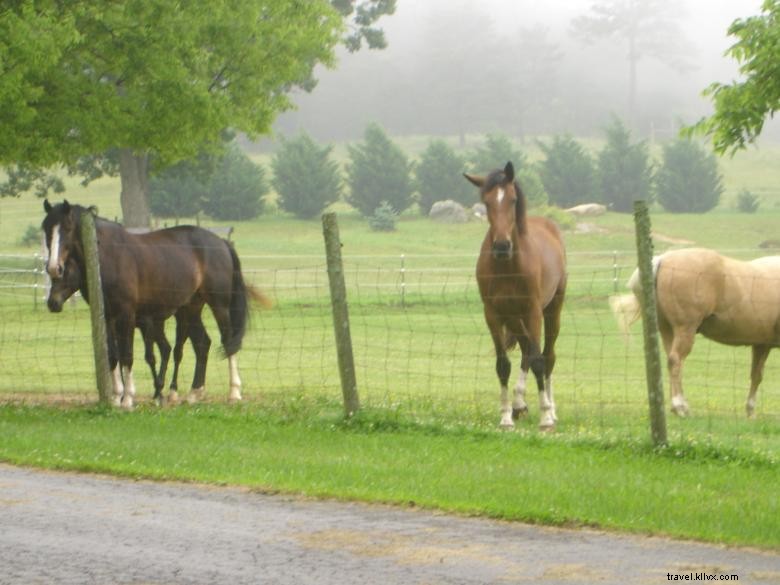 Buzzards Roost Cottage – Scenic Retreat Near Horse Farm