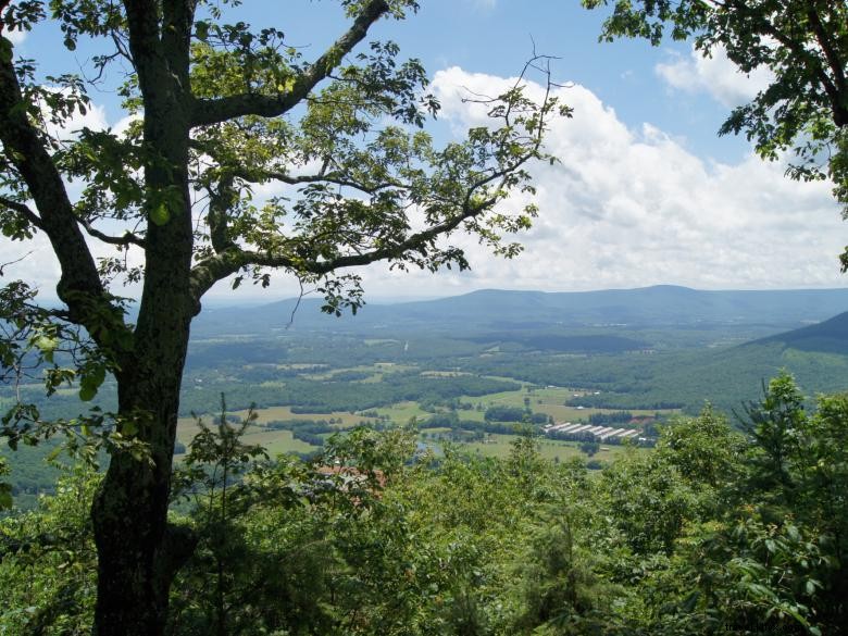 Buzzards Roost Cottage – Scenic Retreat Near Horse Farm