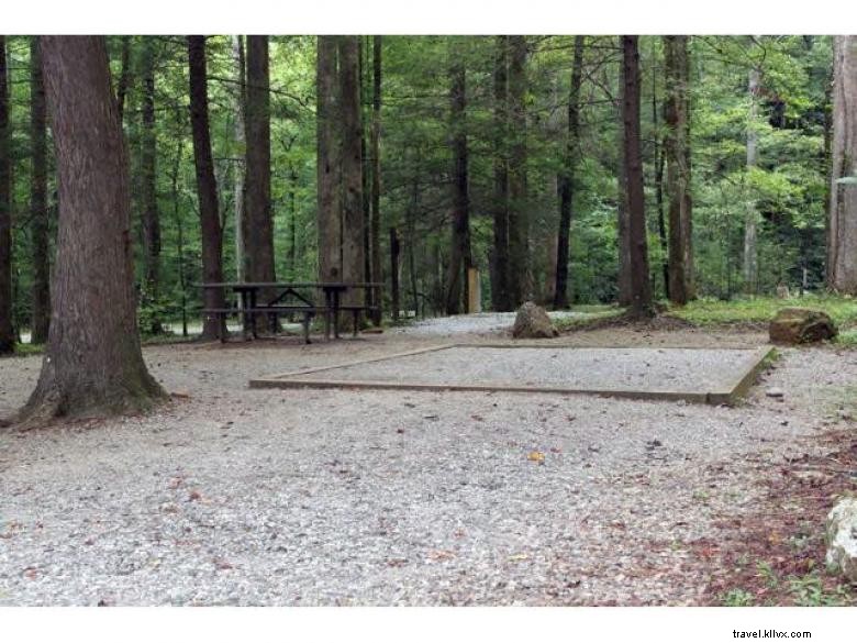 Explore DeSoto Falls Recreation Area: Trails, Fishing, Scenic Views