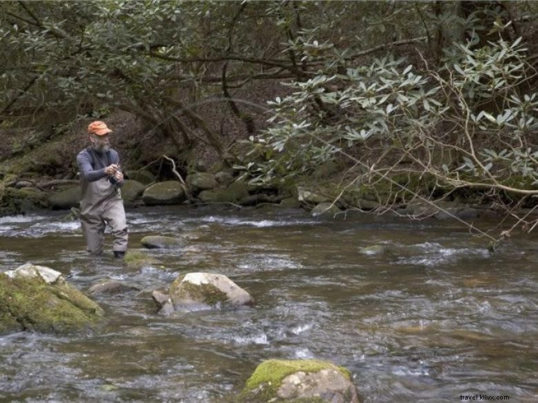 Discover Smithgall Woods State Park – Scenic Trails & Wildlife Adventures