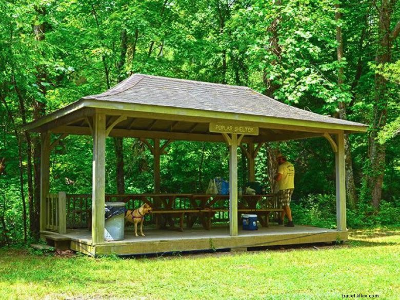 Discover Smithgall Woods State Park – Scenic Trails & Wildlife Adventures