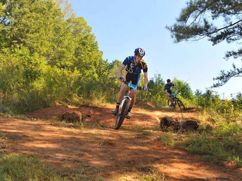 Hawthorn Suites by Wyndham – Premier Hotel Near Georgia International Horse Park & Cherokee Run Golf Course