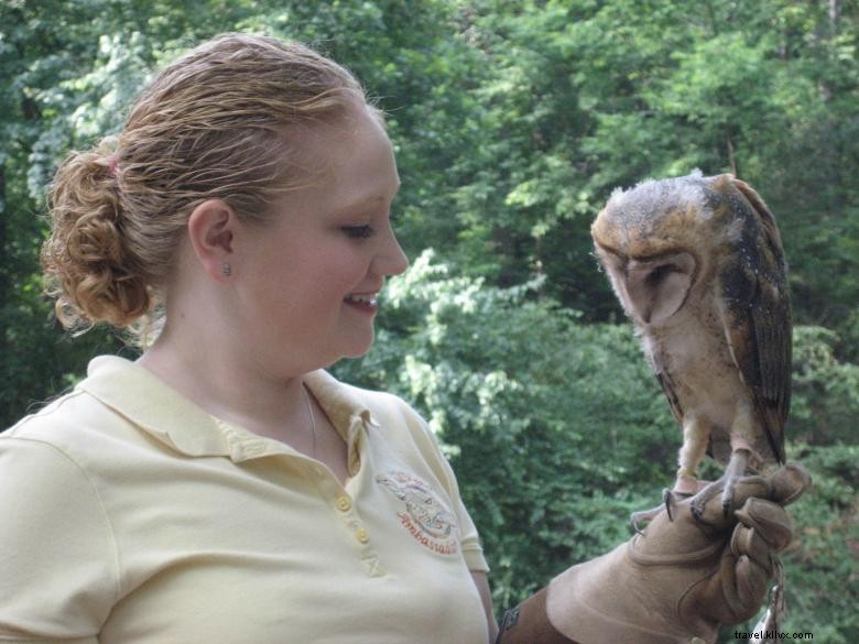 Explore Banning Mills: Historic Retreat & Conservation Center