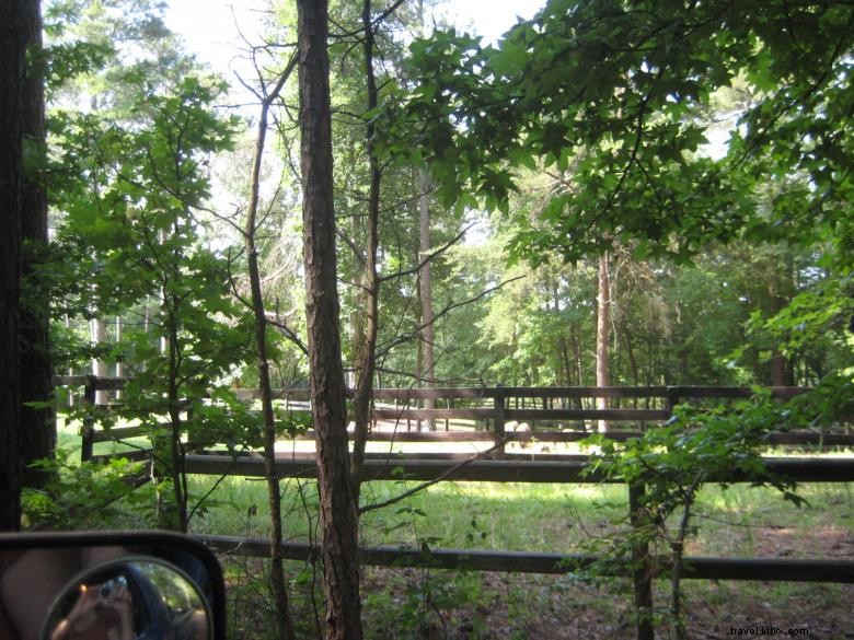 Discover Lutheranch: New Converter Center, Trinity Hub, and Scenic Farm Hiking