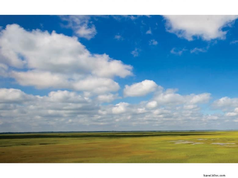 Hodnett Cooper Vacation Rentals – Premium Getaway Properties