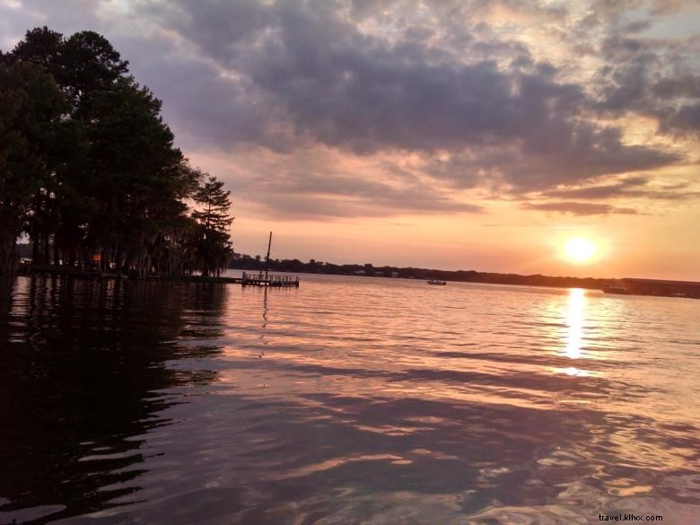 Fruits of Vienna Bed & Breakfast – Elegant Comfort & Fresh Morning Delights