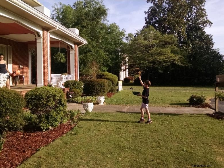 Fruits of Vienna Bed & Breakfast – Elegant Comfort & Fresh Morning Delights