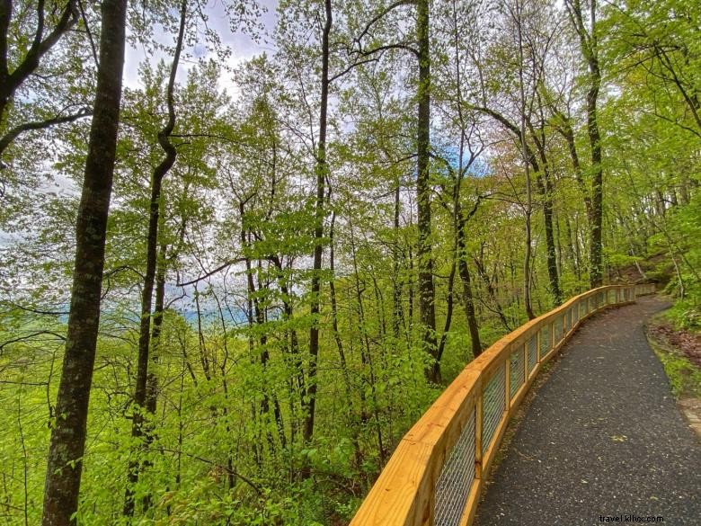 Explore Amicalola Falls State Park & Lodge – Georgia’s Natural Gem