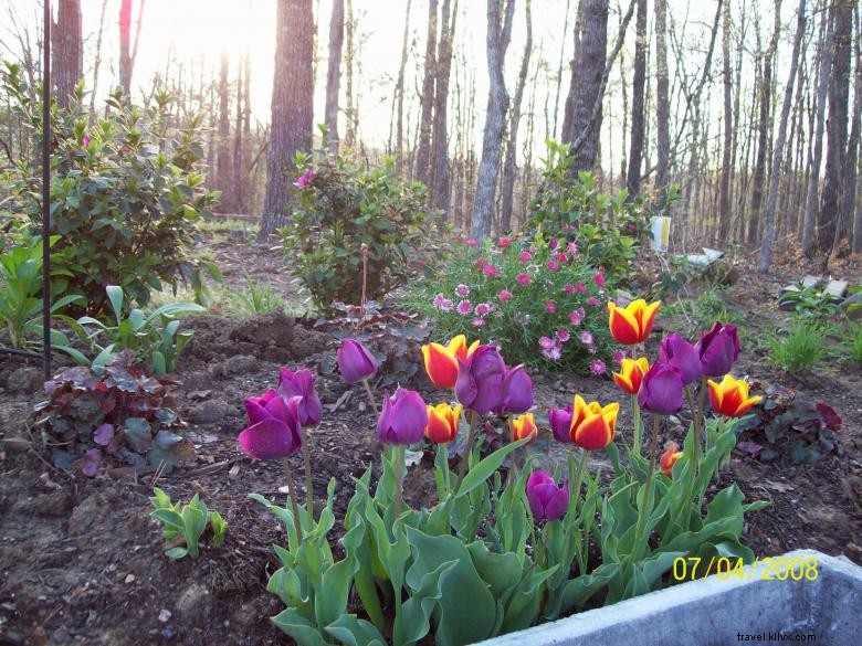 Sage Cottage: Elegant Home with Modern Kitchen & Scenic Deck